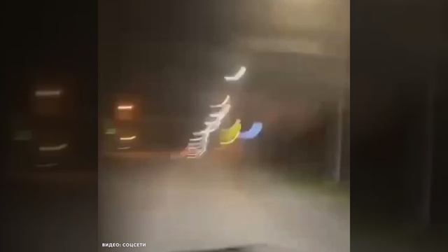 Медведь бегает за людьми в Магадане