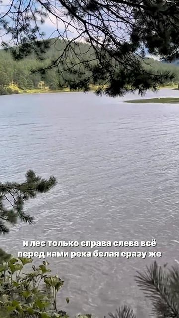 СТРОЮ БАЗУ ОТДЫХА С НУЛЯ. База отдыха в ЛЕСУ: НАЧАЛО СТРОИТЕЛЬСТВА
