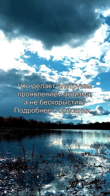 Что делает альтруизм
проявлением эгоизма
а не бескорыстия?
Подробнее в описании...
