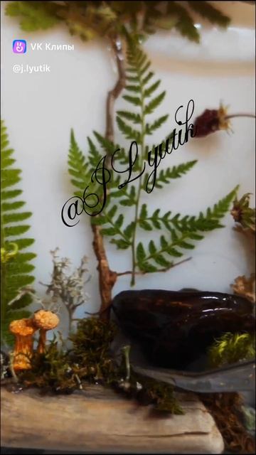 природа и красота во всем мире. #МастерскаяИдейJL #МастерскаяJL
#Стеклянныебукеты
#крылатаябижутерия