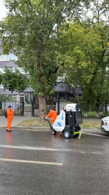 В преддверии осени: в районе Марьина Роща стартовал пилотный проект по борьбе с листопадом