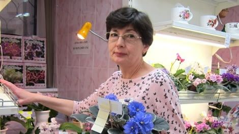 ДФ.Выращивание черенков сенполий в Zip пакетах. И.Конышева