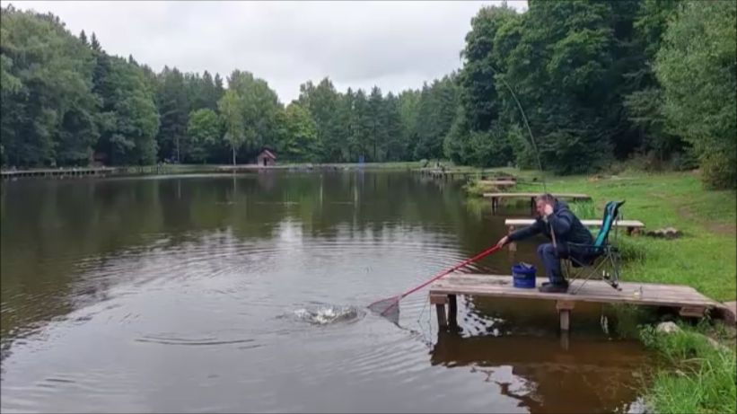 Поплавочная снасть работает. Ловля карпа. Верхний пруд.  Клёвое место Лосиный остров.