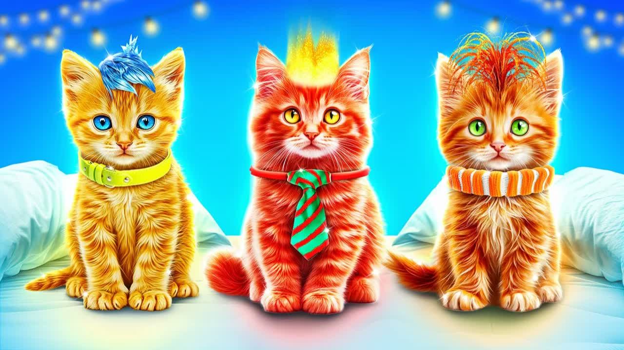 Строим трехэтажную кровать для животных! Головоломка 2 в реальной жизни!