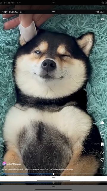 Пёсик