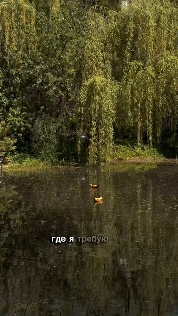 Практика для тех кто готов