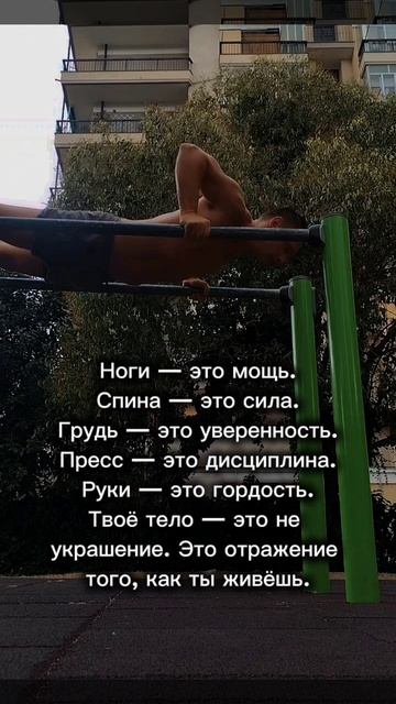 Дисциплина
