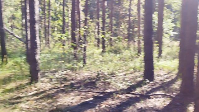 придорожная полустоянка