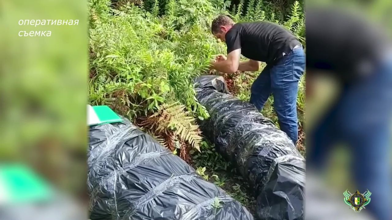 Наркосодержащие корни конопли в крупном размере изъяты у жителя Ткуарчалского района.