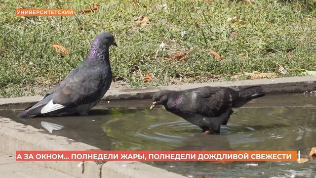 А за окном. 24 августа 2026