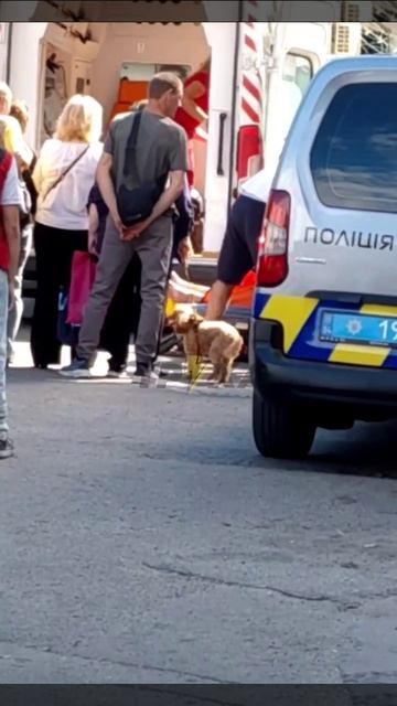Будни Зе-могилизации во Львове. За это стоял майдан...