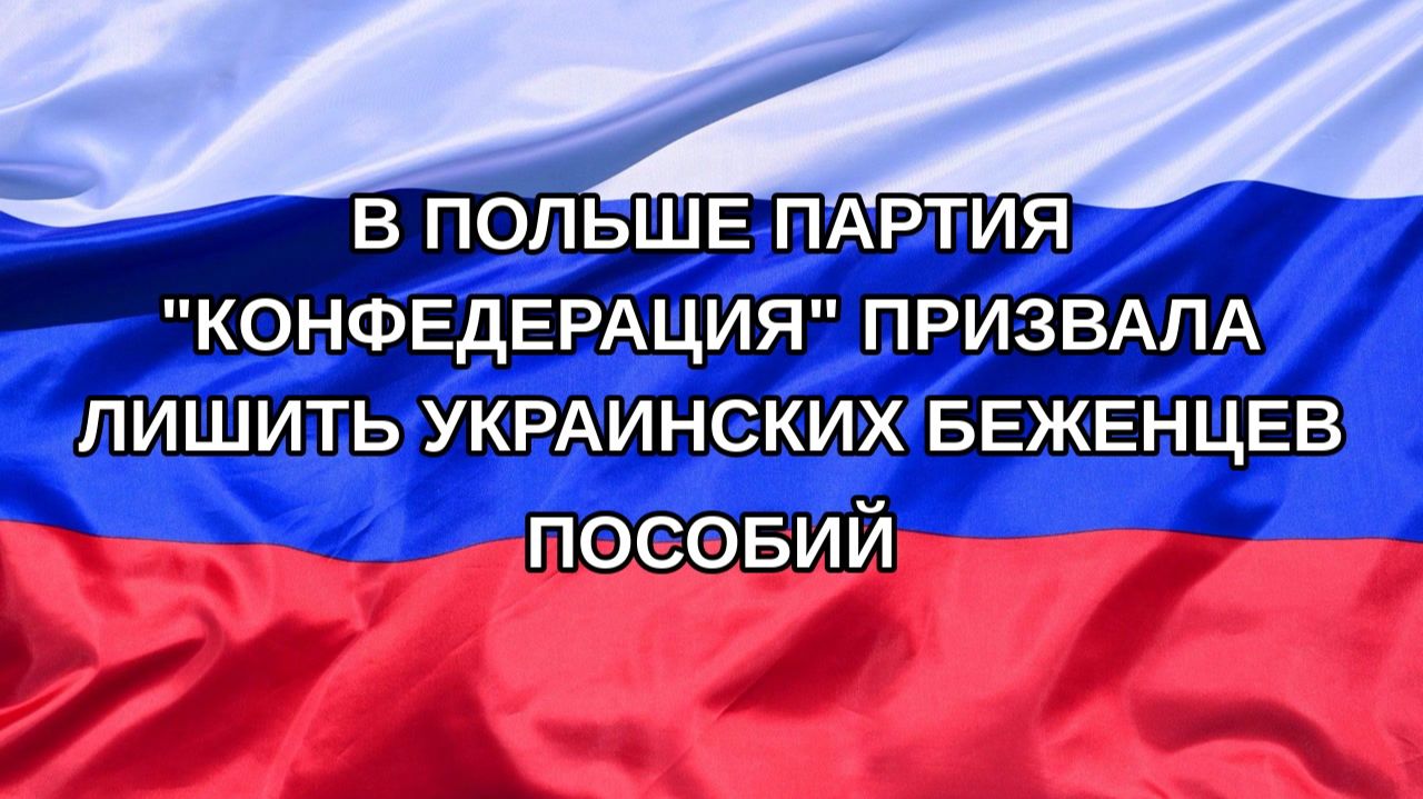 |Н. РФ| В Польше партия 