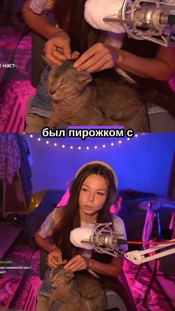#кот  #котик #сладкаябулочка