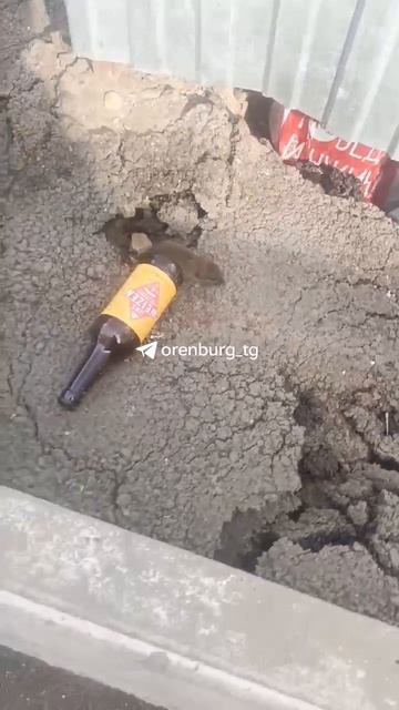 😱Поляничко 7 нашествие крыс у мусорки  Оренбург в MAX (https://max.ru/orenburg_tg)