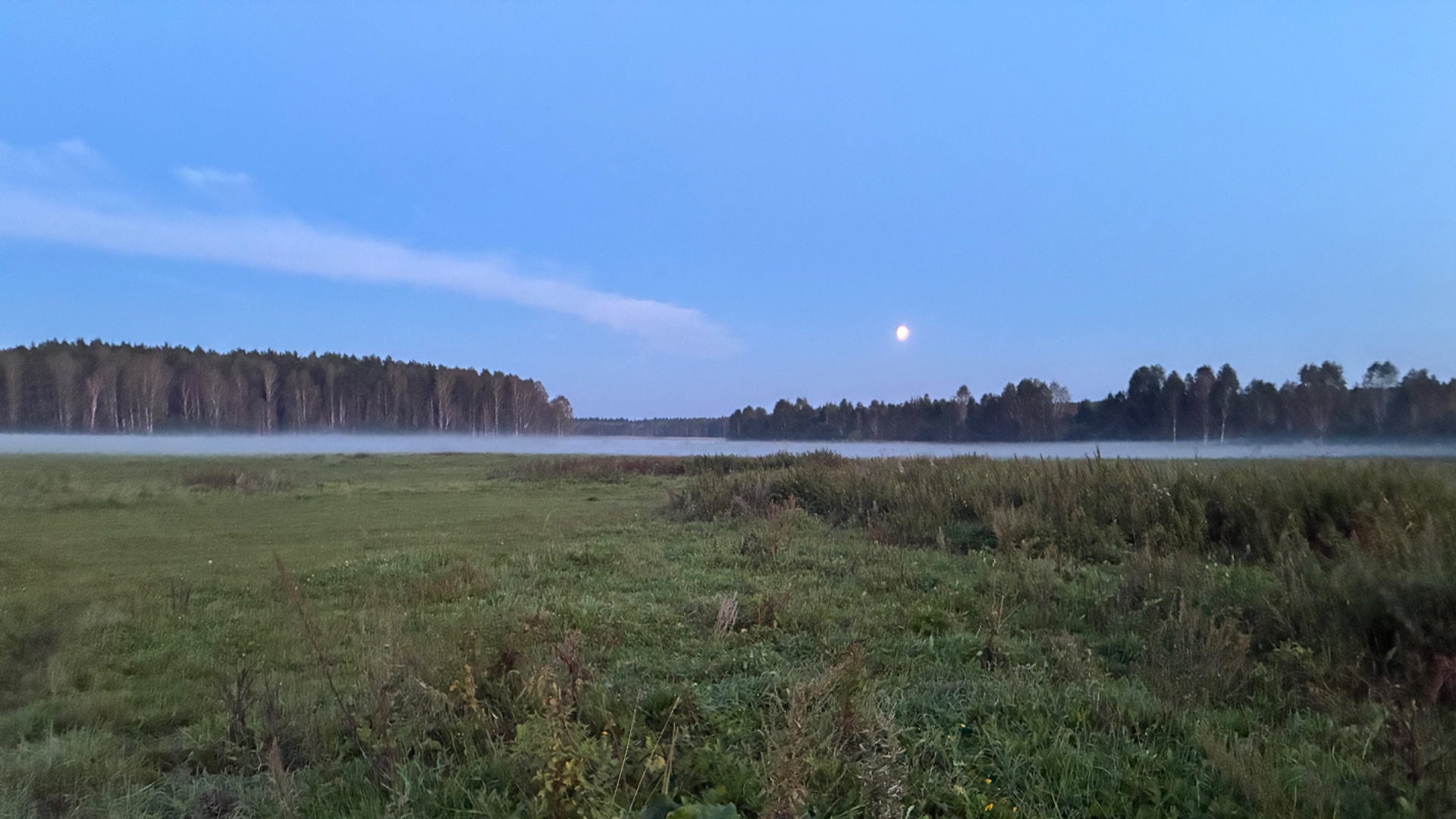 На коне ли в огороде женщина........
