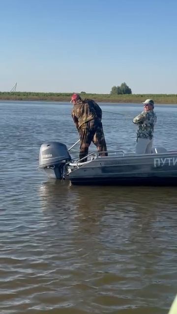 Рыбалка на судака. Август 2026