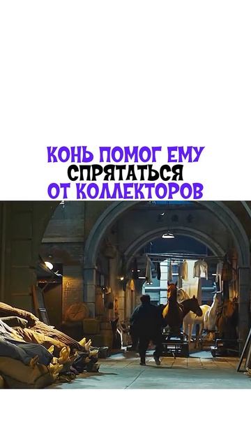 🎬Кунг - фу жеребец (2023)