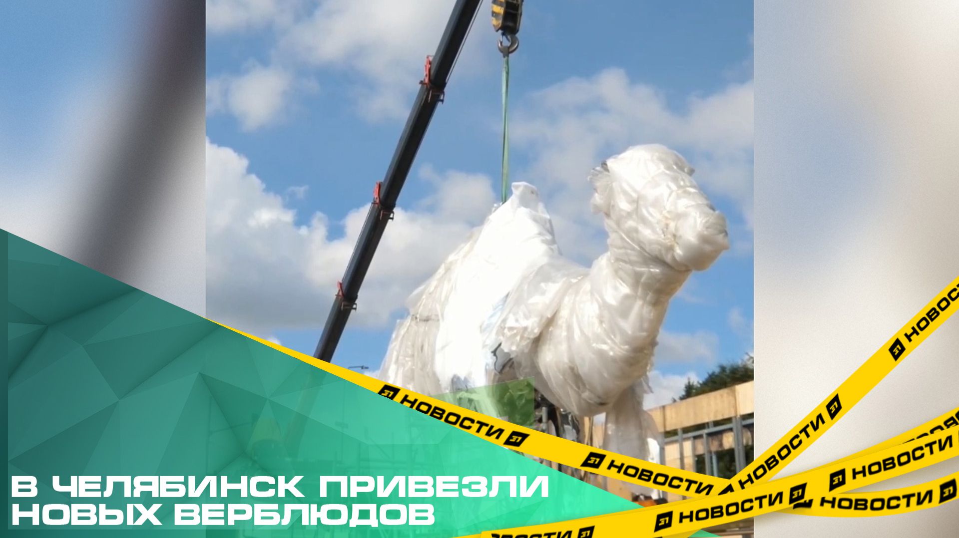 В Челябинск привезли новых верблюдов. Четыре металлические фигуры появились на набережной Миасса