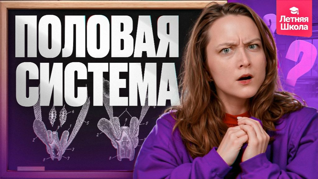 9.1 Выделительная и половая система | Stepenin.ru