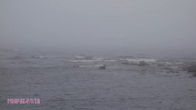 Ладожское озеро. Рядом с Приозерском.