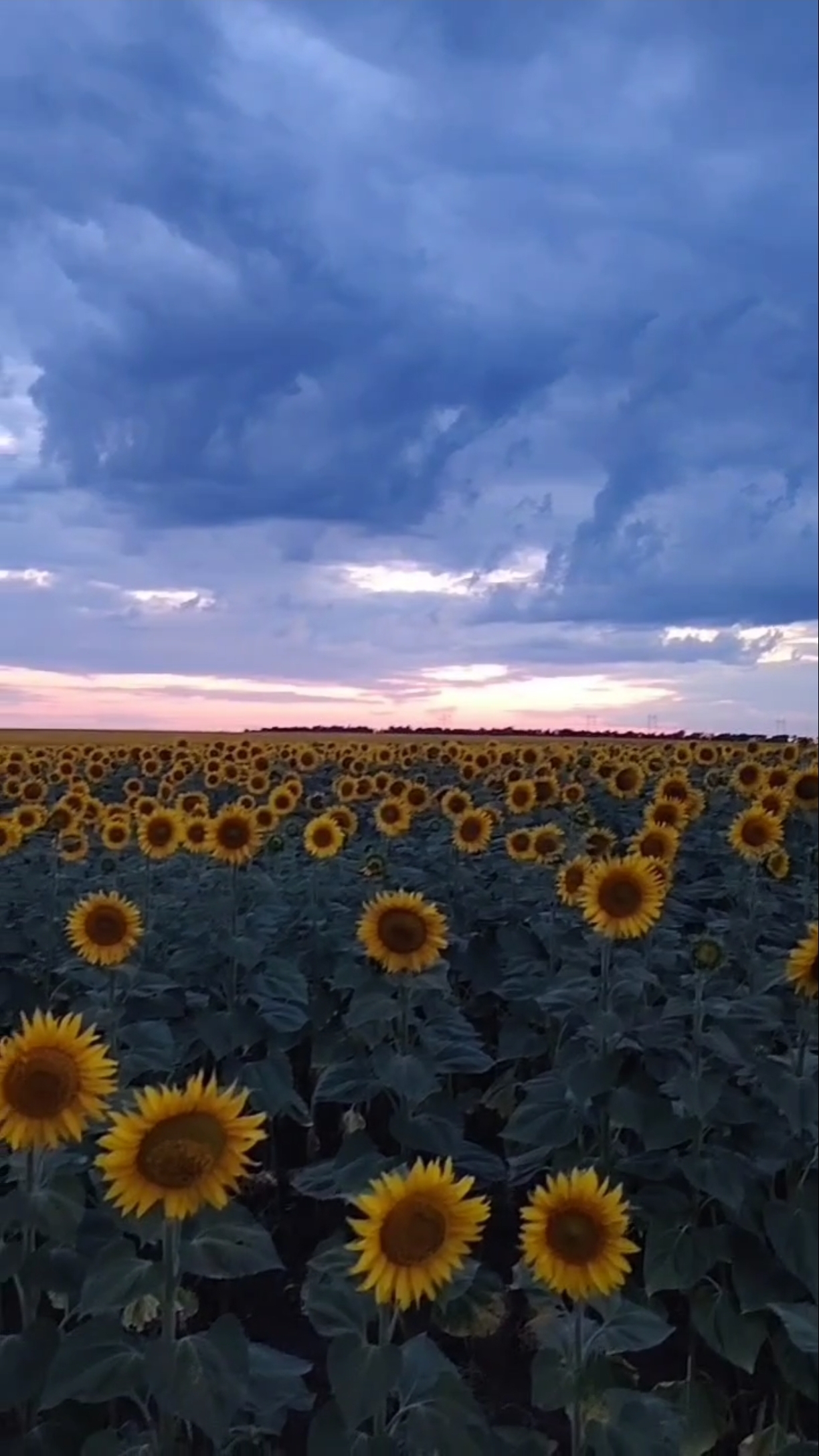 НАСТРОЙ на А-в-Ось