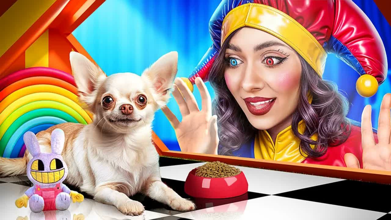 Помни спасла собаку! The Amazing Digital Circus в реальной жизни!(1)
