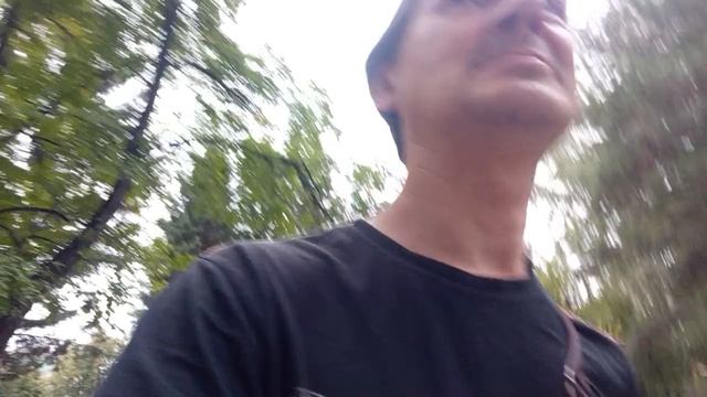 ГДЕЖЕ ТЫ ШЛЁНДРА  НА КОЙ-ТО ПРОГУЛКИ