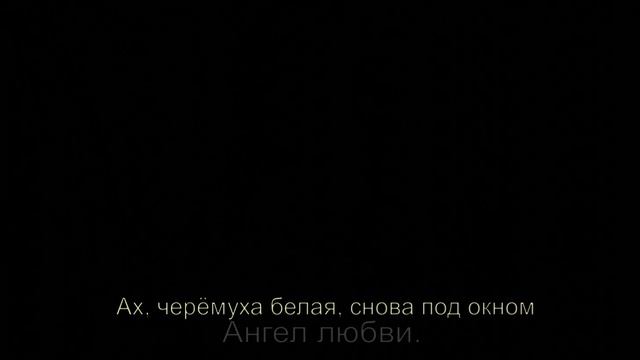 Ах, черёмуха белая, снова под окном