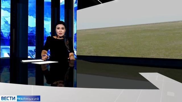 На территории Ленинградской области полицией был задержан подозреваемый в мошеннической схеме.