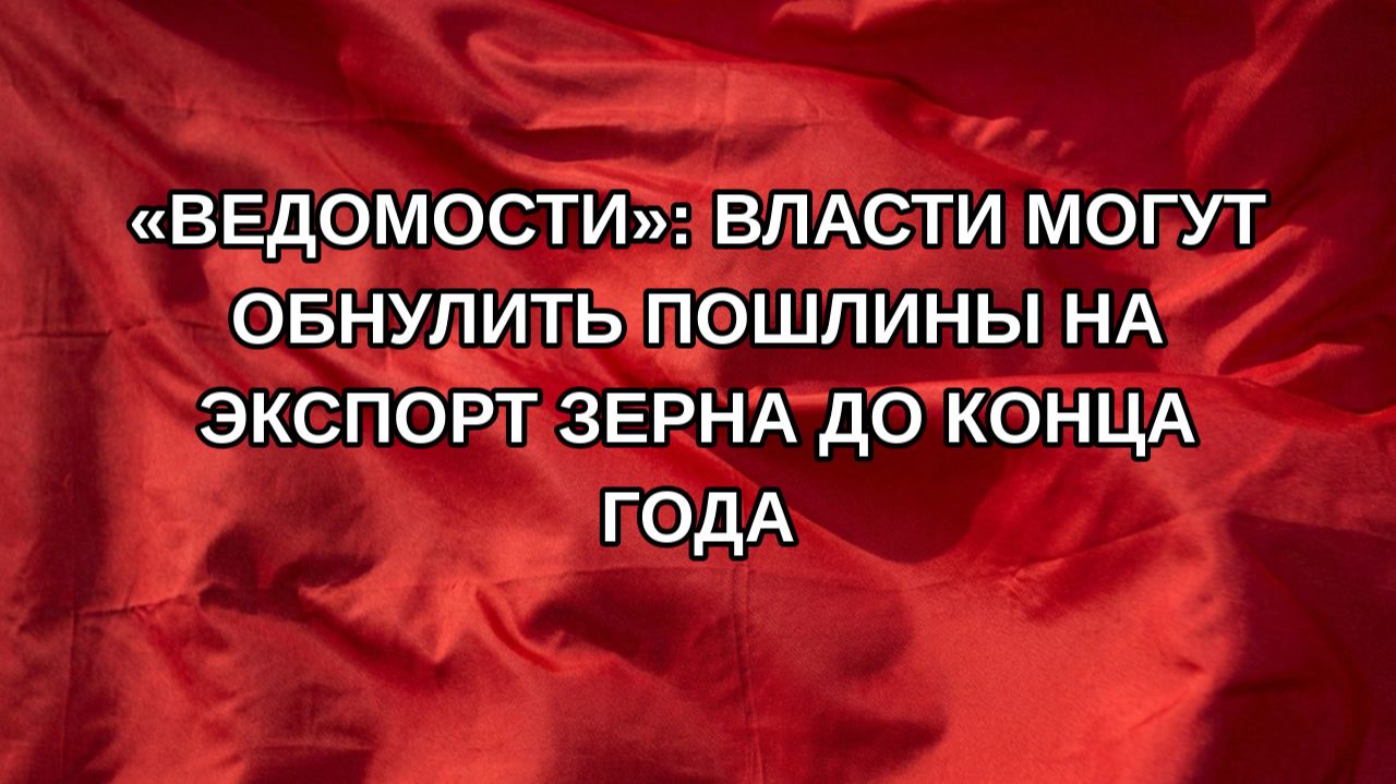 «Ведомости»: власти могут обнулить пошлины на экспорт зерна до конца года