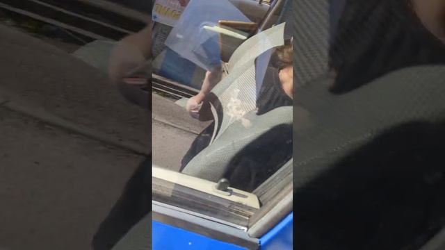 Поездка Персика в местную клинику г.Краснокамска