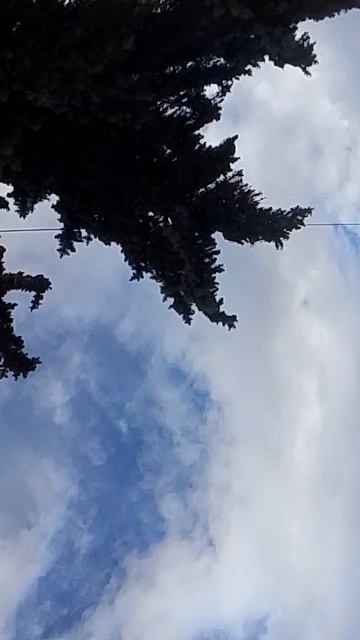 ТЦ часть первая