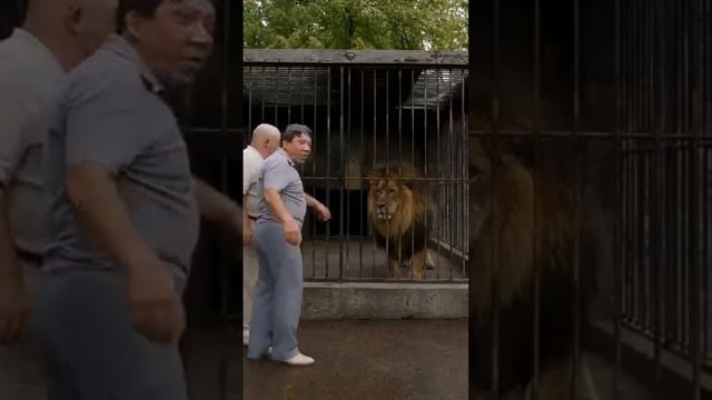 фильмы  4 часть Шурика и разные 