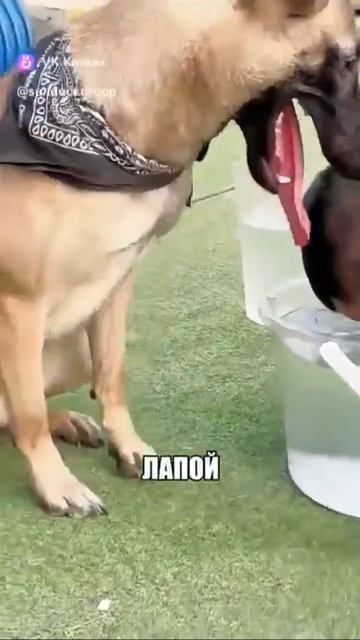 24 августа 2026 г.