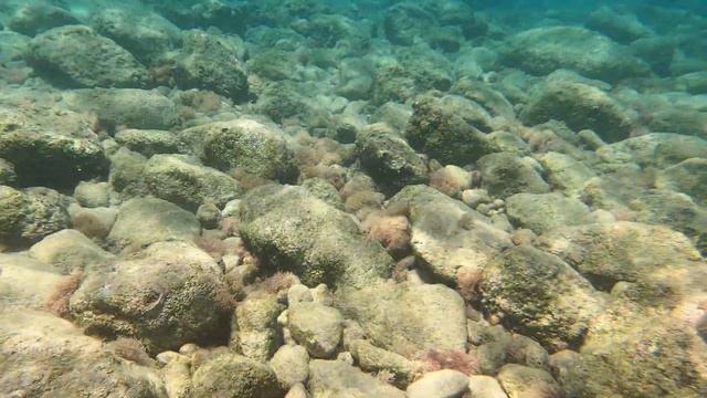Дайвинг в Кемере, Турция 2023. Обзор экскурсии из Антальи. #diving