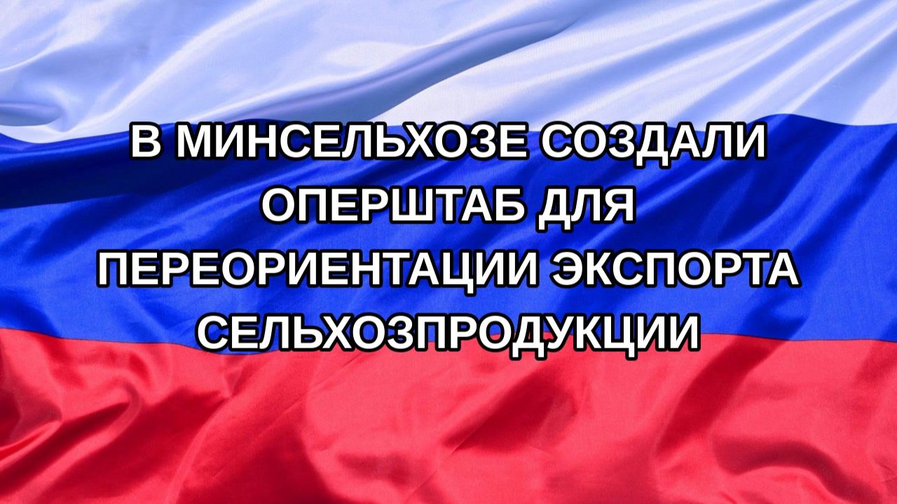 |Н. РФ| В Минсельхозе создали оперштаб для переориентации экспорта сельхозпродукции