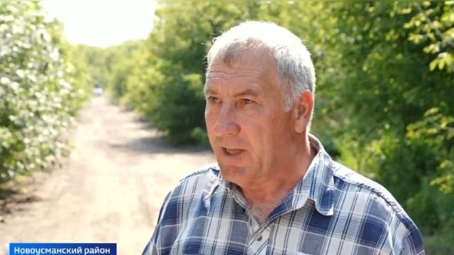 Видео: Сотрудники Воронежского филиала ФГБУ ВНИИКР проводят рейды по выявлению инвазивных растений