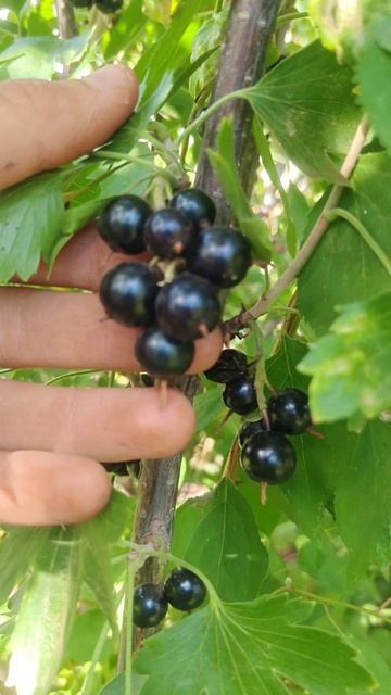 лето подпишитесь пожалуйста 