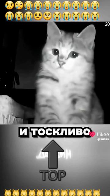 😭😭😭😭😭😭😭😭😭😭😭😭😭😭😭😭🐱🐱🐱🐱🐱🐱🐱🐱🐱🐱🐱