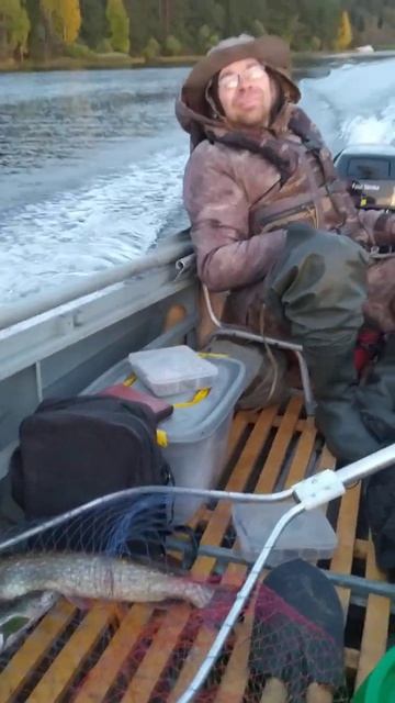Едем в закат.