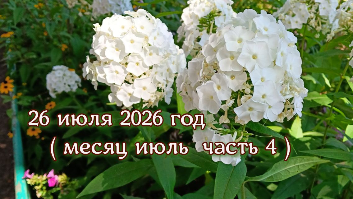 26 июля 2026 год.  Часть 4