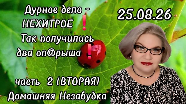 2 часть. Дурное дело - нехитроеТак получились два опрыша