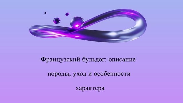 Французский бульдог: описание породы уход и особенности характера