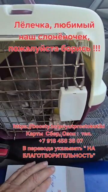 Лёля