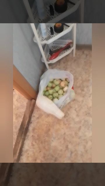 Урожай