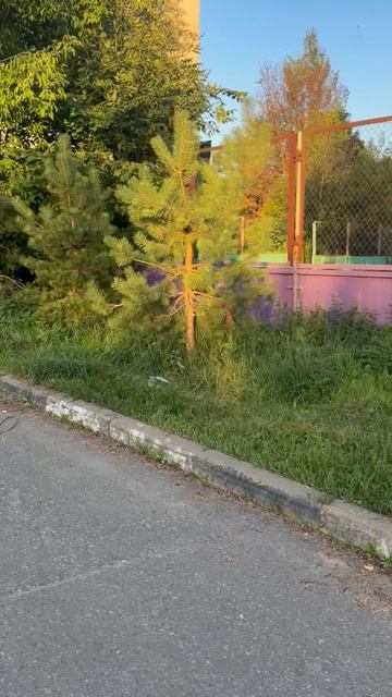 Электросталь, улица Спортивная: тихий день в шумном городе.