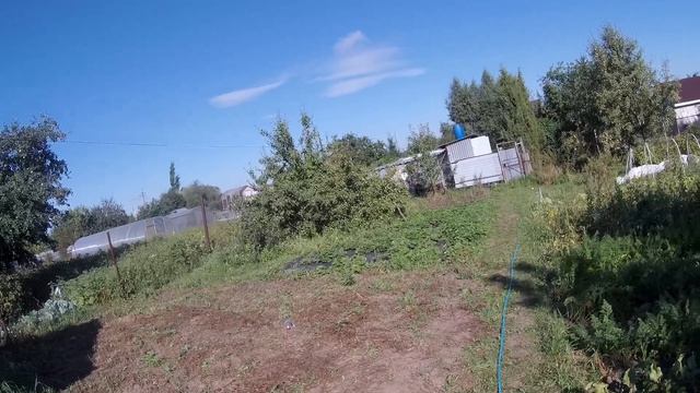 Роликовая рогатка-пару слов в защиту