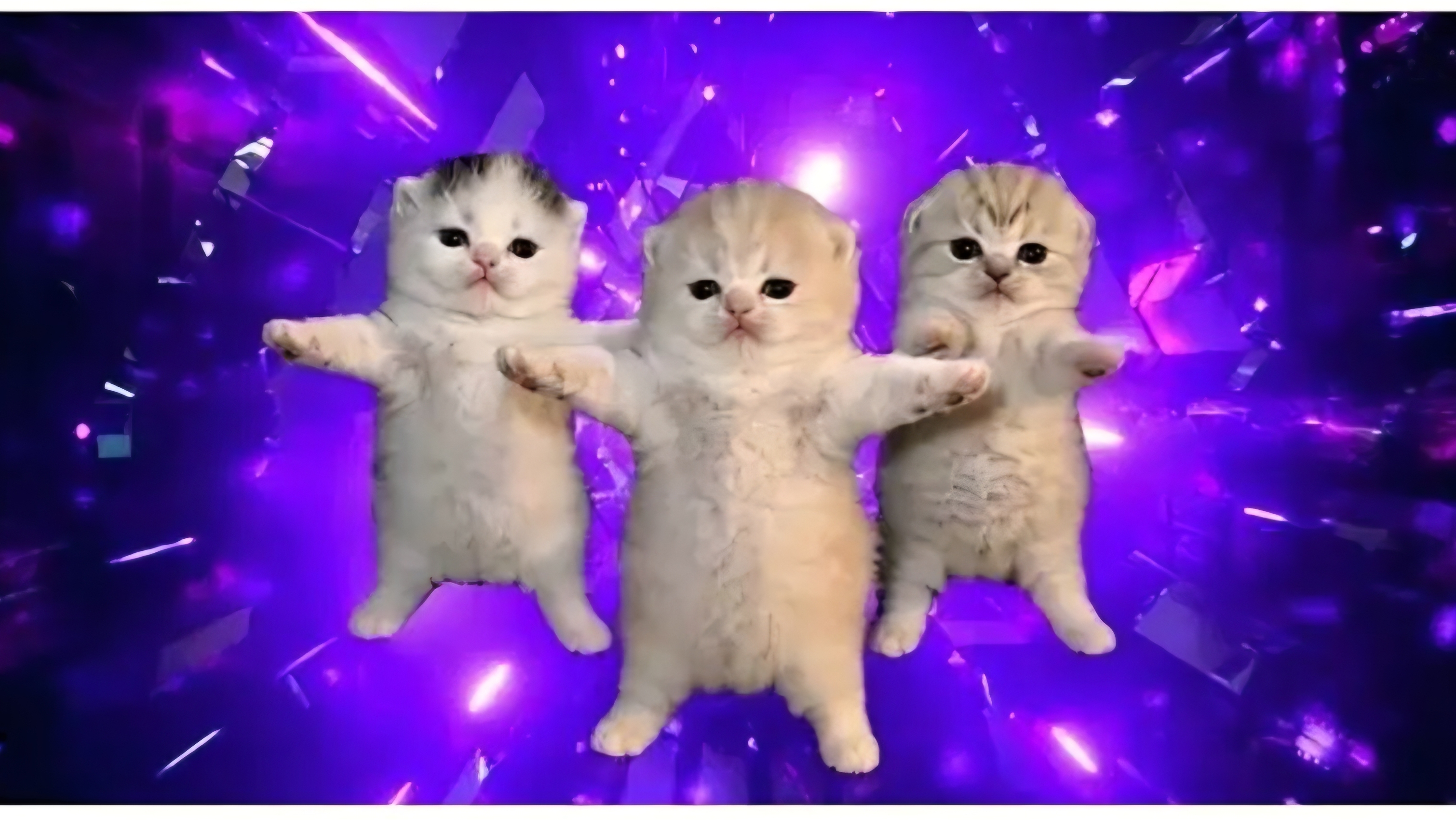 МУЛЬТИК ДЛЯ ДЕТЕЙ. КОТИКИ🐱 ТАНЦУЮТ. СМЕШНЫЕ КОТИКИ. МУЛЬТФИЛЬМЫ ДЛЯ ДЕТЕЙ.