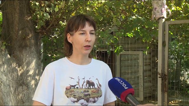 Медведей все чаще стали замечать возле населенных пунктов в Тюменской области