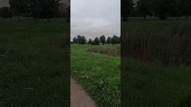 Буферный парк Царское село +18